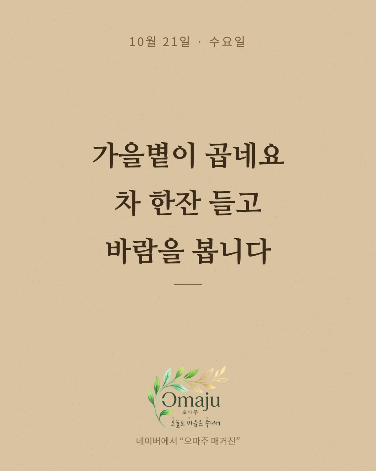 10월 21일 수요일 좋은 아침 인사 이미지 1 — 가을볕이 곱네요 차 한잔 들고 바람을 봅니다