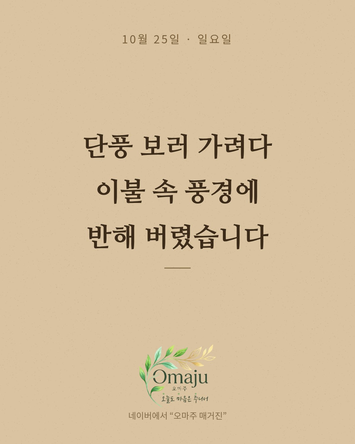 10월 25일 일요일 좋은 아침 인사 이미지 3 — 단풍 보러 가려다 이불 속 풍경에 반해 버렸습니다
