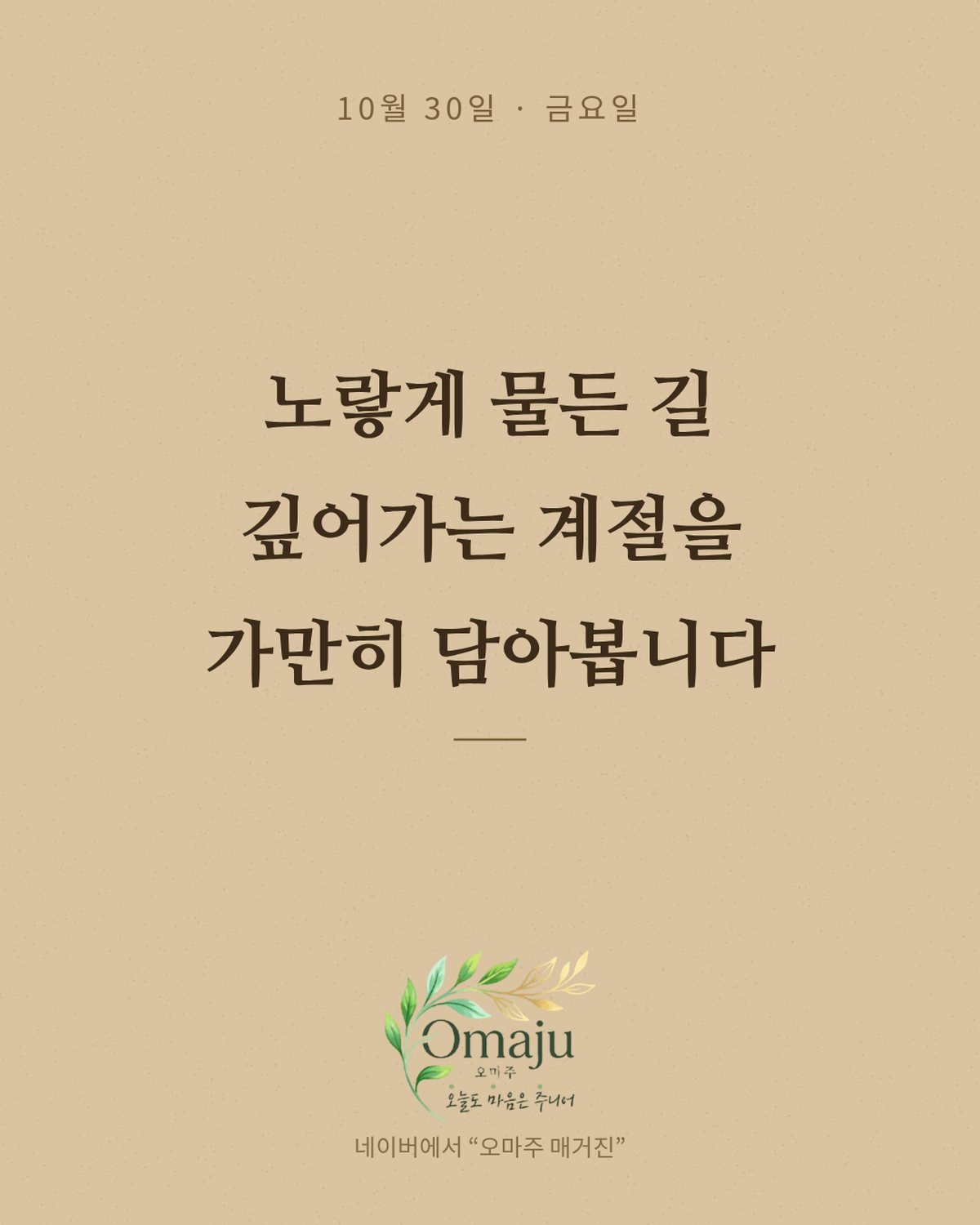 10월 30일 금요일 아침 인사 이미지 — 가을 좋은 글귀 카드 4장